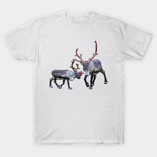 Santa Claus Reindeer T-Shirt